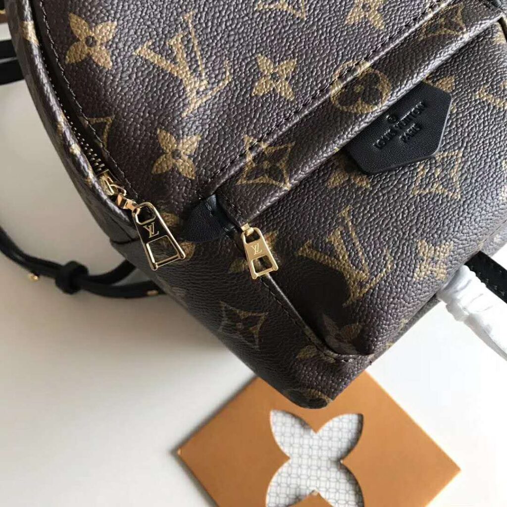 Louis Vuitton Palm Springs Mini Bagpack